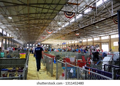 FORT WORTH, TEXAS/USA - February 6, 2018: Fort Worth Stock Show Hog Barn With Pig Pens Creating Isles Toward The Arena.