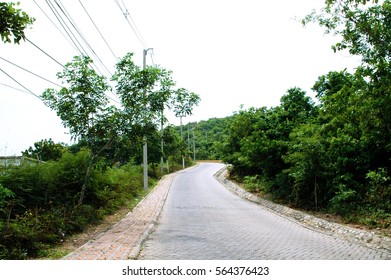 forward road
