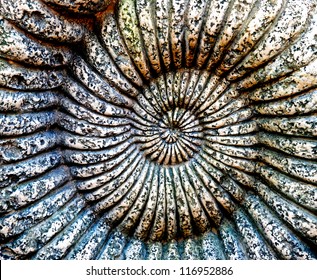 Archeologie Coquillages Images Stock Photos Vectors Shutterstock