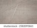 Fossil on limestone wall surface, Extinct genus of large, straight shelled cephalopods from Ordovician period, Ancient petrified invertebrate, Prehistoric orthocone mollusk