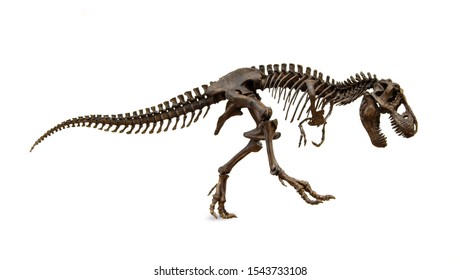 1,485 Dinosaur king Images, Stock Photos & Vectors | Shutterstock