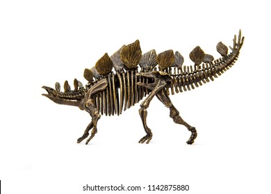 Fossil Skeleton Of Dinosaur Stegosaurus Isolated On White Background.