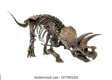 Triceratops Head Dinosaur Fossil Design Cufflinks & Organza Pouch