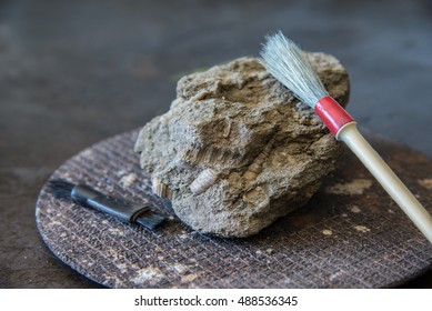 Fossil Stone With Brush And Chisel