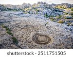 Fossilized ammonite on a rock in Torcal de Antequera