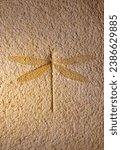 Fossilized dragonfly insect in the sandstone