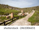 A fossilized tree trunk from the UNESCO Geopark "Petrified Forest of Sigri" on the island of Lesvos in Greece. Mytilene - Greece Lesbos fossil forest