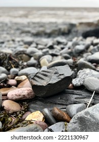 Fossils And Stones On The Beach In The Rain