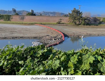 Foster City, CA February 13, 2022: Trash Floating In Seal Slough Tidal Channel