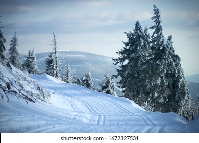 Fotos taken on a wintery hike from cervenohorske sedlo. - Powered by Shutterstock