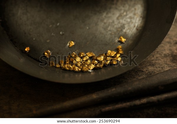 Found\
gold. gold panning or digging. Gold on wash pan. Intentionally shot\
with low key shadows and shallow depth of\
field.