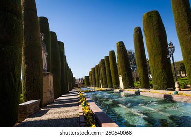 Fountain between decorative trees