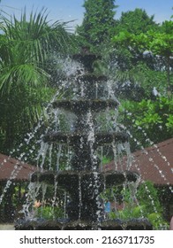 Fountain At The Central Park Zoo