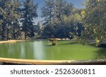 Fountain of Eleousa peaceful pond filled with green water is encircled by tall trees, creating a tranquil atmosphere perfect for relaxation on a sunny day.