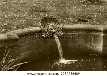         Fountain with a face where water comes out                       