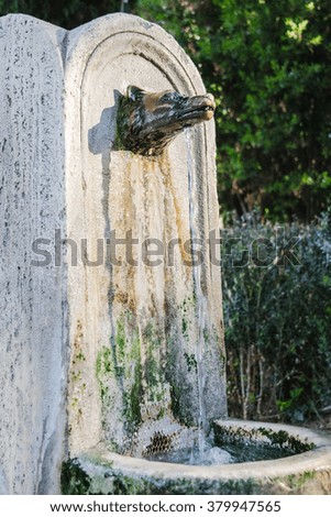 Fountain iron wolf headed, Rome, Italy