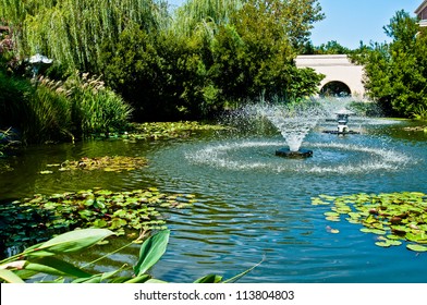 Fountain In Middle Of A Water Garden Of Lily Pads And Other Plants.