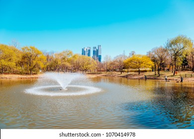 Fountain On Pond At Seoul Forest Park In Korea