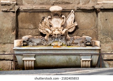 Fountain Of Papa Giulio In Via Flaminia, Rome, Italy