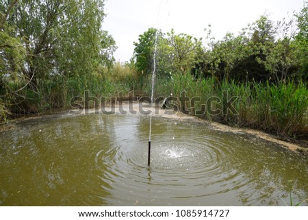 Fountain in the pond. A simple fountain without complex designs.