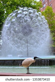 Fountain In Potts Point