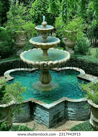 Fountain, water, plant, green, sunny
