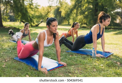 Four beautiful female friends doing push-up in the park. Selective focus.  - Powered by Shutterstock