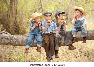 Four boys eat apples sitting on a tree branch in a sunny summer day