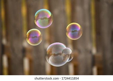 Four colourful bubbles float in front of a wooden fence at dawn. 
