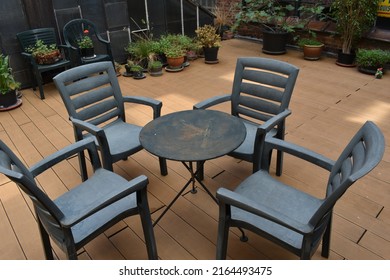 Four Dark Green Plastic Chairs Around A Dark Green Rusting Metal Table On Three Legs With Several Plants In The Background