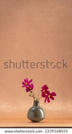 Similar – Image, Stock Photo For Mommy Plant Flower