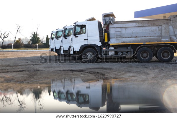 Four dump trucks with white clean cabs stand\
beautifully in a row next to each other. At the bottom of the frame\
is a reflection of these trucks. Delivery, logistics, construction.\
 Copy space