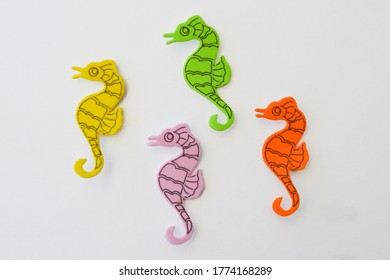 For eva seahorses Nature: Seahorses