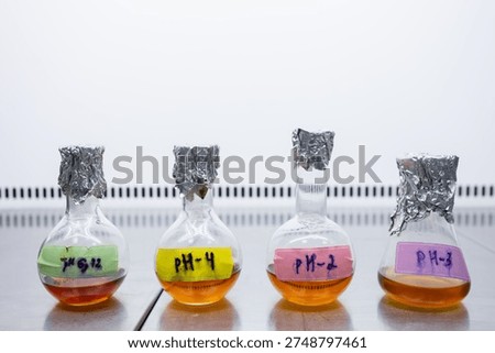 Four flasks containing orange liquid, each labeled differently, sit on the metal surface of a microbiological fume hood.
