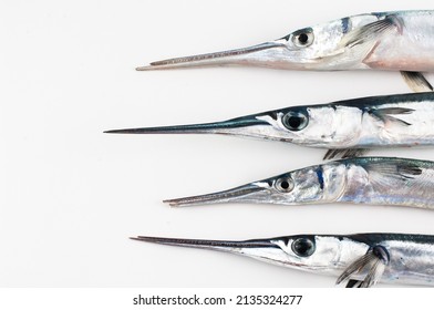 Four Fresh Fish Head Isolated On A White Background