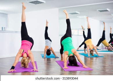 Four girls practicing yoga, Yoga-Eka Pada Adho Mukha Svanasana/One-Legged Downward-Facing Dog Pose
 - Powered by Shutterstock