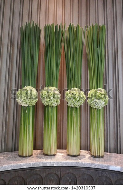 Four Green Hydrangea Flowers Tall Glass Stock Photo Edit Now