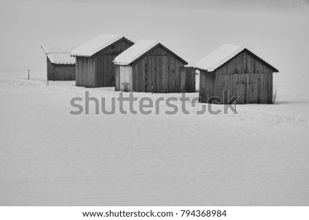 Similar – Image, Stock Photo dog in the manger