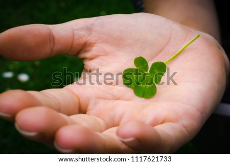 Similar – young hand in turquoise jacket holds four-leaf green clover