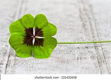 four leaf clover on wood - Shutterstock ID 231432658