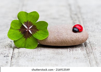 four leaf clover with stone and ladybug on wood, copy space - Shutterstock ID 216913549
