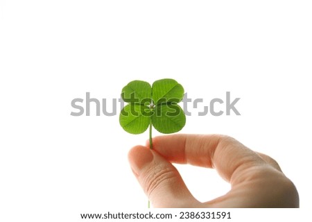 four leaf clovers with our diverse collection of lucky charm images. These photographs capture the charm and mystique of this symbol, making them perfect for a wide range of occasions.