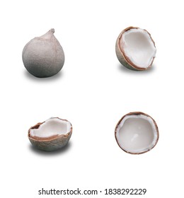 Four patterns of burnt coconut on white background. isolated coconut.  - Shutterstock ID 1838292229
