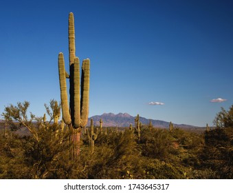 Four Peaks From The Lake Overlook Trail In Fountain Hills, AZ