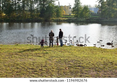 Four people family - two children mother and father looking at wild swans and mallard ducks on lake in autumn day back view with copy space on green grass or water surface.
