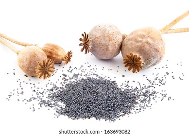 Four Poppy Seeds On A White Background