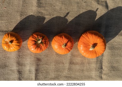 Four pumpkins of different sizes standing in a row on a table covered with a canvas cloth. Autumn still life top view.