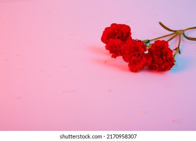 Four Red Carnations Lie On Pink Background. Isolated Flowers Branch. Banner. Copy Space. Template Business Card. Flower Shop Concept. May 9 Victory Day. Love Symbol. Layout. Holiday Postcard Mockup.