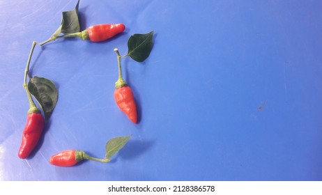 Four Red Chili Peppers (Capsicum Frutescens) (Siling Labuyo) With Branches Arranged In A Square Shape On A Blue Background