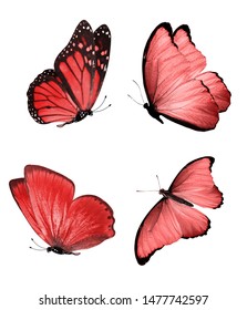 280,197 Red butterfly Images, Stock Photos & Vectors | Shutterstock